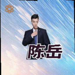 陈岳